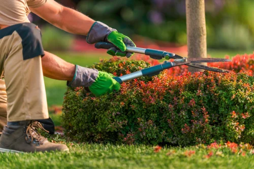 Landscaping Maintenance Expectations for Vacant Rental Properties in Central Oregon