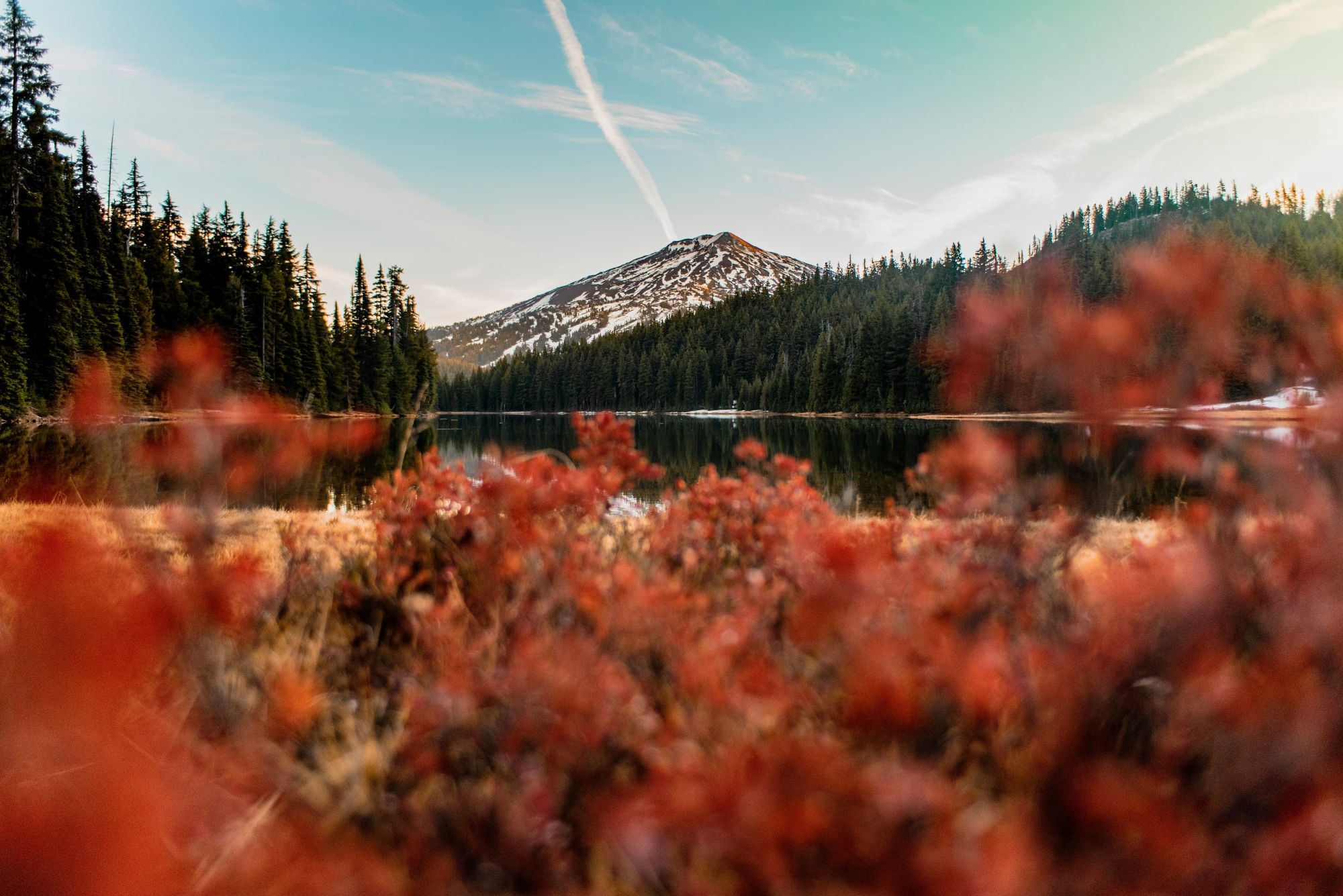 Sub Banner Image 1